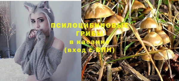 скорость Бородино